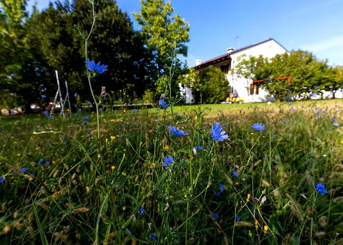 Fiori Di Campo Holiday Home